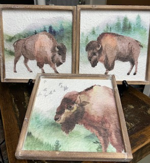 Buffalo Art