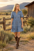 Chambray Dress