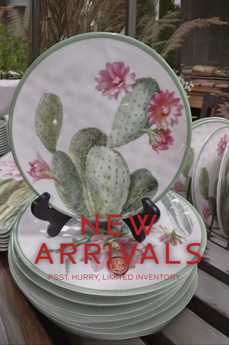 Unique and beautiful cactus-themed plates
