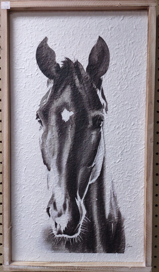 Black & White Horse Print